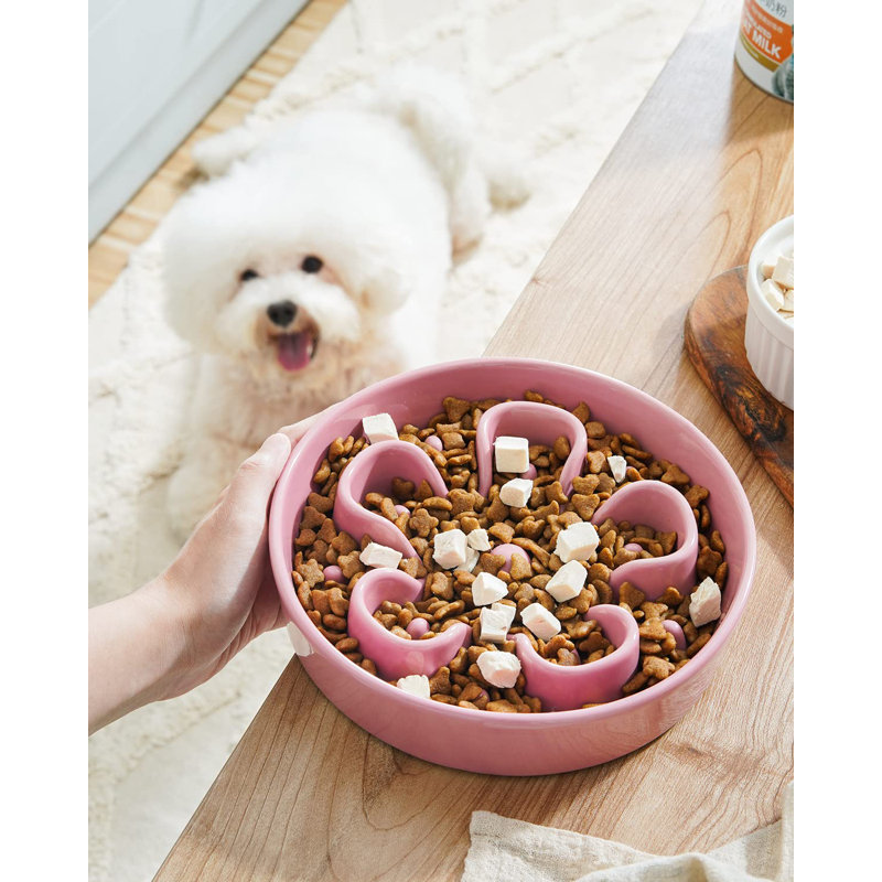 Slow down food bowl on sale